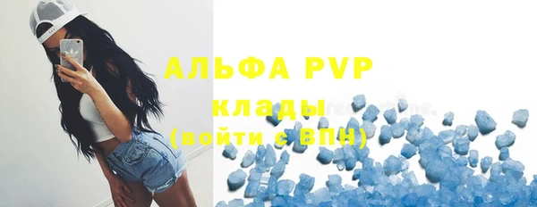 дмт Магас
